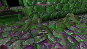 TES V Skyrim: Where dead people go to (Weird, Scary Bug/Easter Egg)