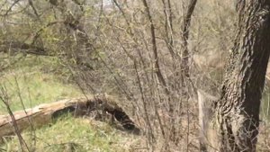 Река Иловля. Новые места для рыбалки.