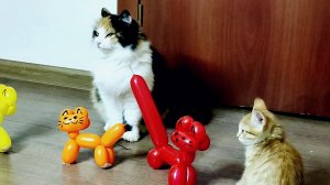 Котенок Мия, кошка София и воздушные шарики с фигурками котят
