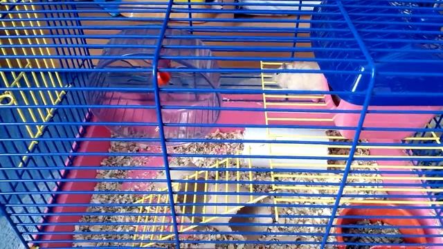 Песчаник Пик смотреть онлайн