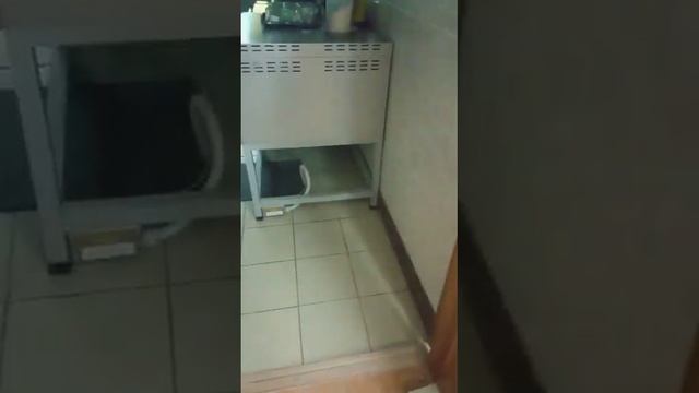 Работа в школьной столовой-уборщик служебных помещений. смотреть онлайн