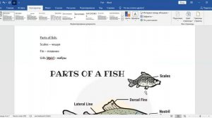 IELTS Speaking part 1. Fishing (September 2023 - April 2024)