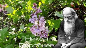 Тяготы жизни - Никон Воробьев