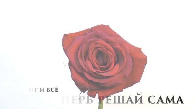 Сергей Куренков — «Ангел мой»