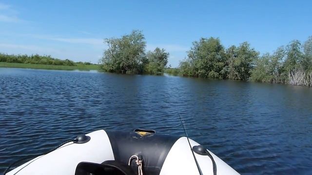 Поездка на рыбалку. Пилотный выпуск. смотреть онлайн