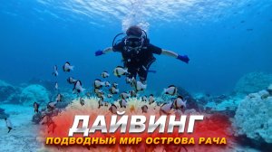 Дайвинг в Таиланде / Подводный мир острова Рача