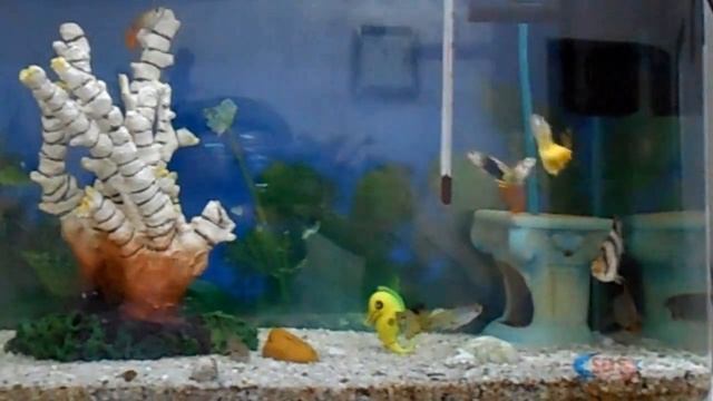 Nikon Coolpix S2800 Camera Review and indoor and outdoor test смотреть онлайн