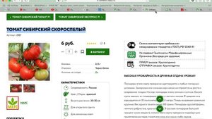 Лучшие сорта помидор для открытого грунта. Низкорослые сорта помидор.