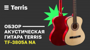 Акустическая гитара Terris TF-3805A NA