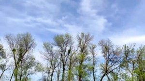 Что важно сделать перед рыбалкой? - Народные приметы и суеверия про рыбалку.
