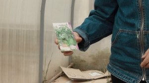 СОЗДАЕМ ЦВЕТОЧНЫЙ РАЙ
