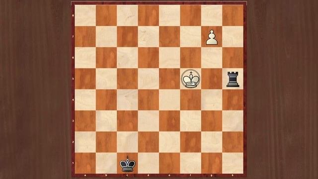 Остроумные шахматные этюды братьев Платовых. Шахматная композиция. Решение шахматных позиций