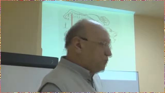 Виктор Селуянов правильное сжигание жиров.