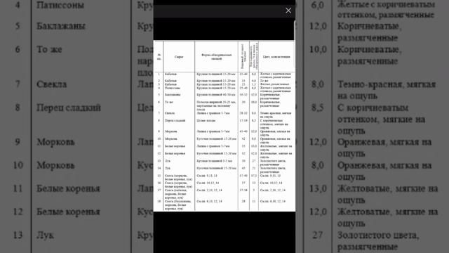 Секрет кабачковой икры по ГОСТу