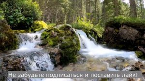 Роман. История о жизни свекрови. Психология правильной свекрови #роман #аудиокниги #аудиокнига