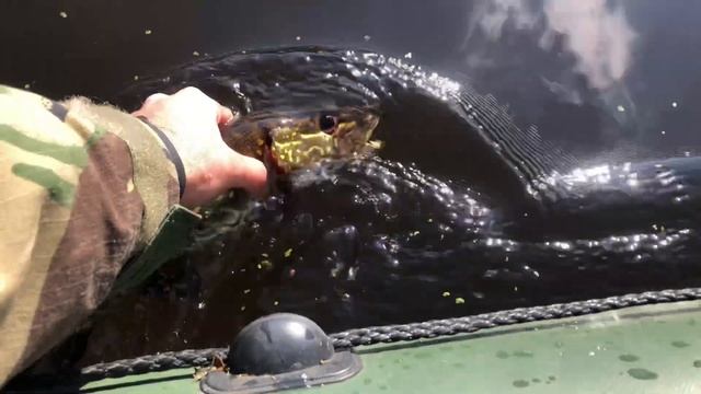 Щука берет на поворотах! Рыбалка на спиннинг с лодки! Хорошая щука! Кайф от рыбалки!!Рыбалка на рек