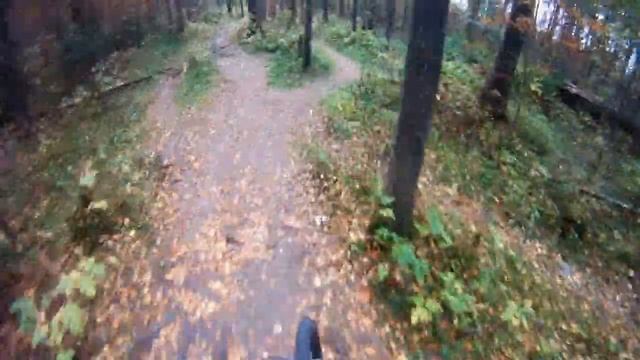 roots trail.avi смотреть онлайн