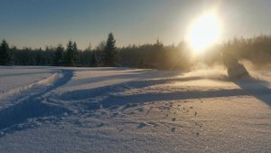 буран короткая база пухляк мимо