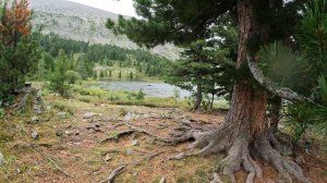 Второе озеро