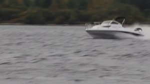 Морской Кот SF620 2