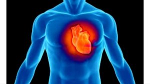 Что, если у меня инфаркт? // Инфаркт миокарда. Что делать?