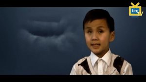 Лудуб Очиров - Журавли