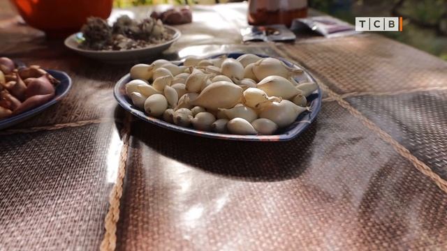 Как подготовить грядки для посадки чеснока под зиму смотреть онлайн