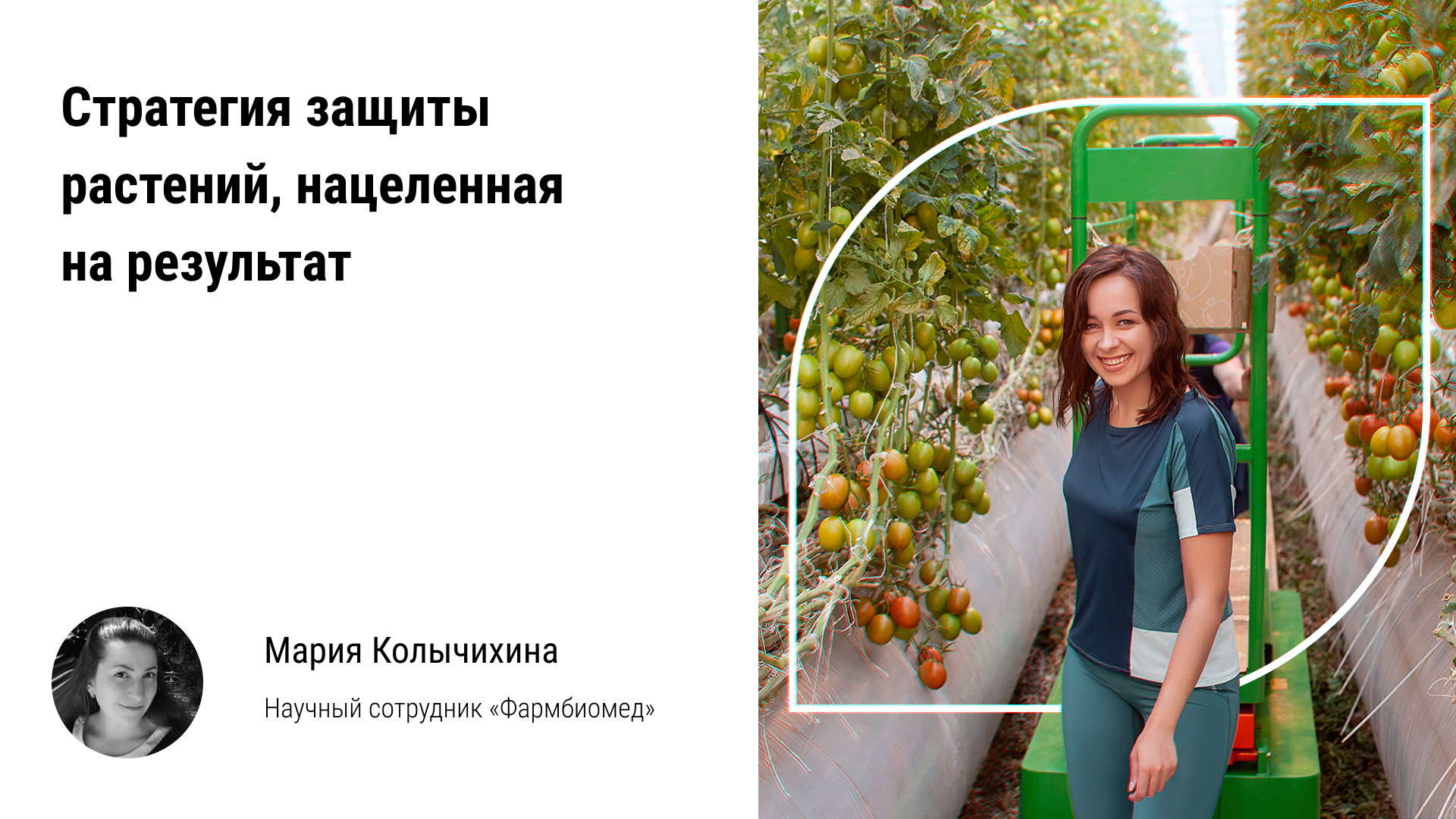 ?♀️ Стеклянный «бриллиант»: правильная «огранка» тепличного комплекса и диффузионное стекло теплиц