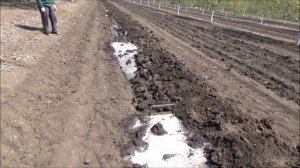 Полив орехового сада  Часть III  Апрель 2020