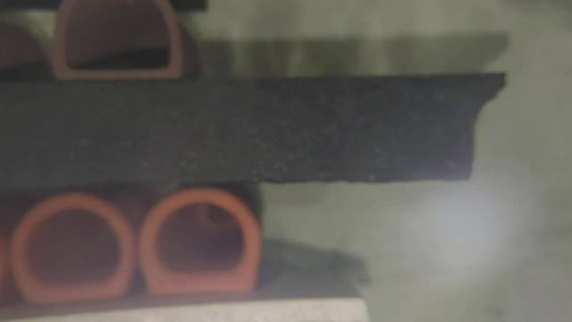 Анциструс Snow White (с белым геном),родители и дети смотреть онлайн