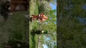 Танцевальная разминка с Бабой Ягой и Лешим