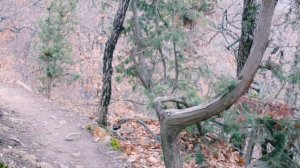 Кизилташ. Краснокаменка