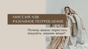 Почему важно перестать покупать лишние вещи? Разумное потребление. Миссия цифровой платформы N2B