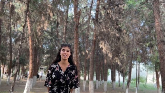 Морфология леса смотреть онлайн