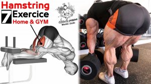 ЗАДНИЕ ДЕЛЬТЫ - Тренировка подколенного сухожилия