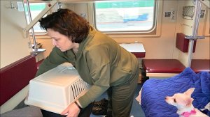 АДЛЕР ЗИМОЙ 2022 ч.1 ЕДУ В АДЛЕР...СУТКИ В ПОЕЗДЕ С СОБАКОЙ!