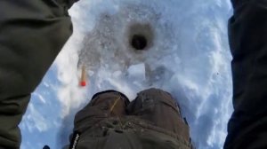 Ловля окуня на безмотылку