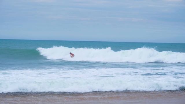Sri Lanka | Arugam Bay смотреть онлайн