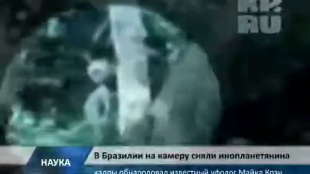 В Бразилии на камеру сняли пришельца смотреть онлайн