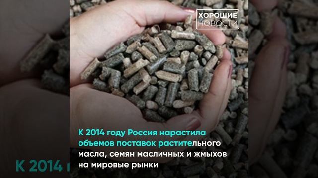 Развитие российского экспорта и импорта сельхозсырья и продовольствия смотреть онлайн