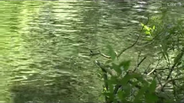 Подсачеки смотреть онлайн