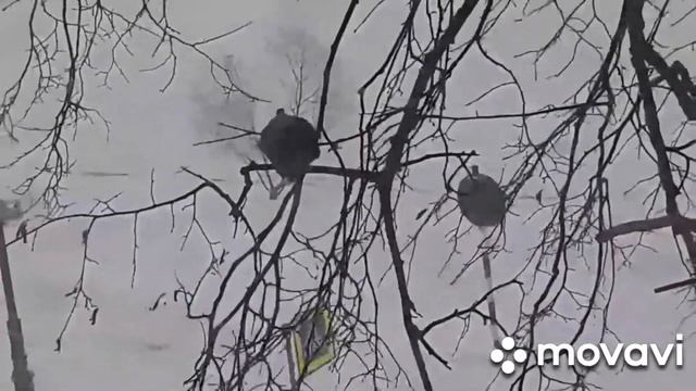 Песню А. Кердана и М. Мягковой "Ворон" поёт Яна Чабан смотреть онлайн