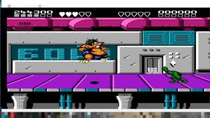 Battletoads and Double Dragon и Battletoads Dendy