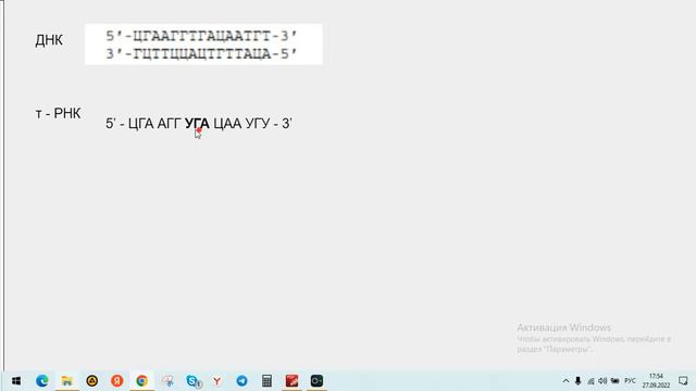 Демо - задача на биосинтез белка - линия 28 ЕГЭ - 2023 смотреть онлайн