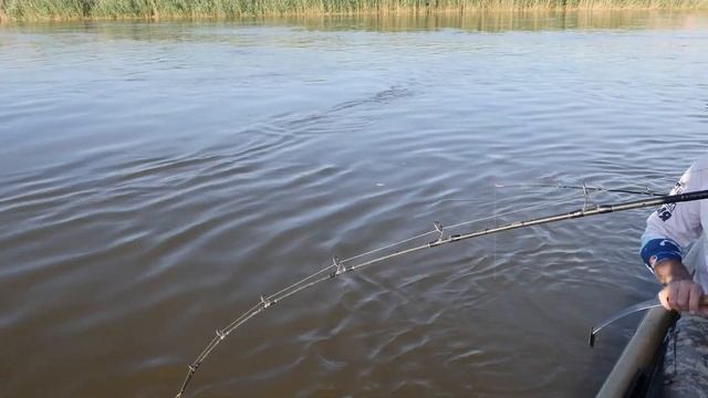 Ловля сома на квок. Рыбалка с Олегом Сарана в Астрахани.