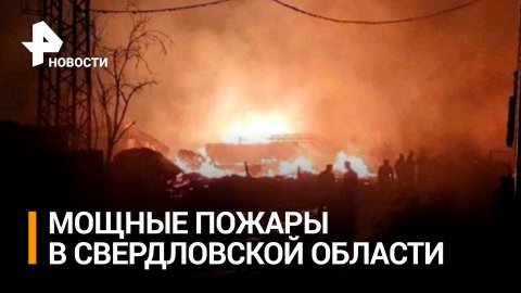 20 природных пожаров погасили за сутки в Свердловской области / РЕН Новости