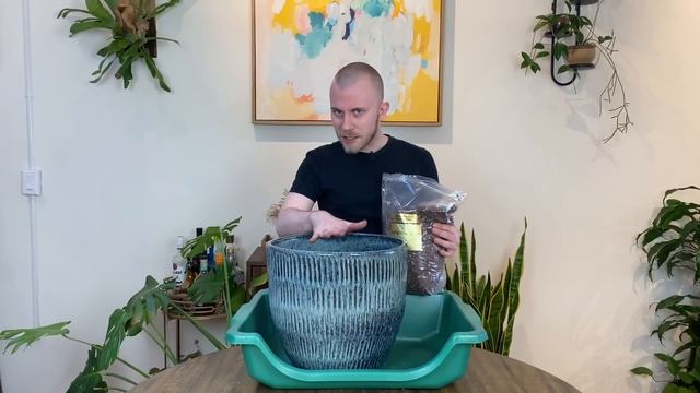 Repotting and Staking My Monstera deliciosa | Houseplant Tips & Tricks смотреть онлайн