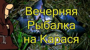 Вечерняя летняя рыбалка на карася с донками, ловля карася и карпа