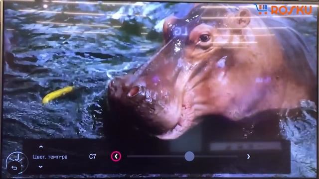 Обзор 4K ТВ от LG серии SK7900 на примере 49SK7900 [49SK7900pla 55sk7900 55sk7900pla 43sk7900] смотреть онлайн