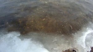 Спиннинг DAYO Black Dragon снова в деле  | мартовский Дон  | село под Воронежем  | 26 марта 2022